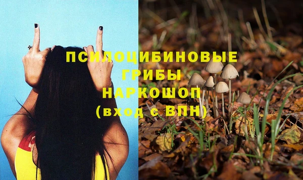 соль курить ск Алексеевка