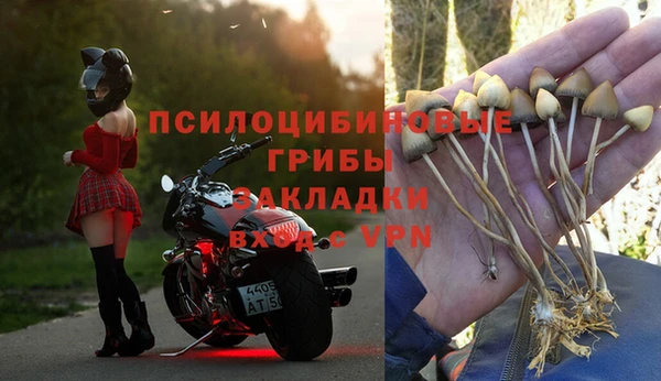 соль курить ск Алексеевка