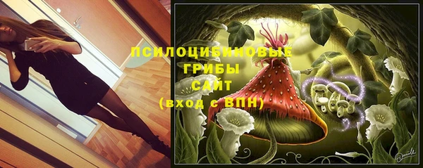 соль курить ск Алексеевка